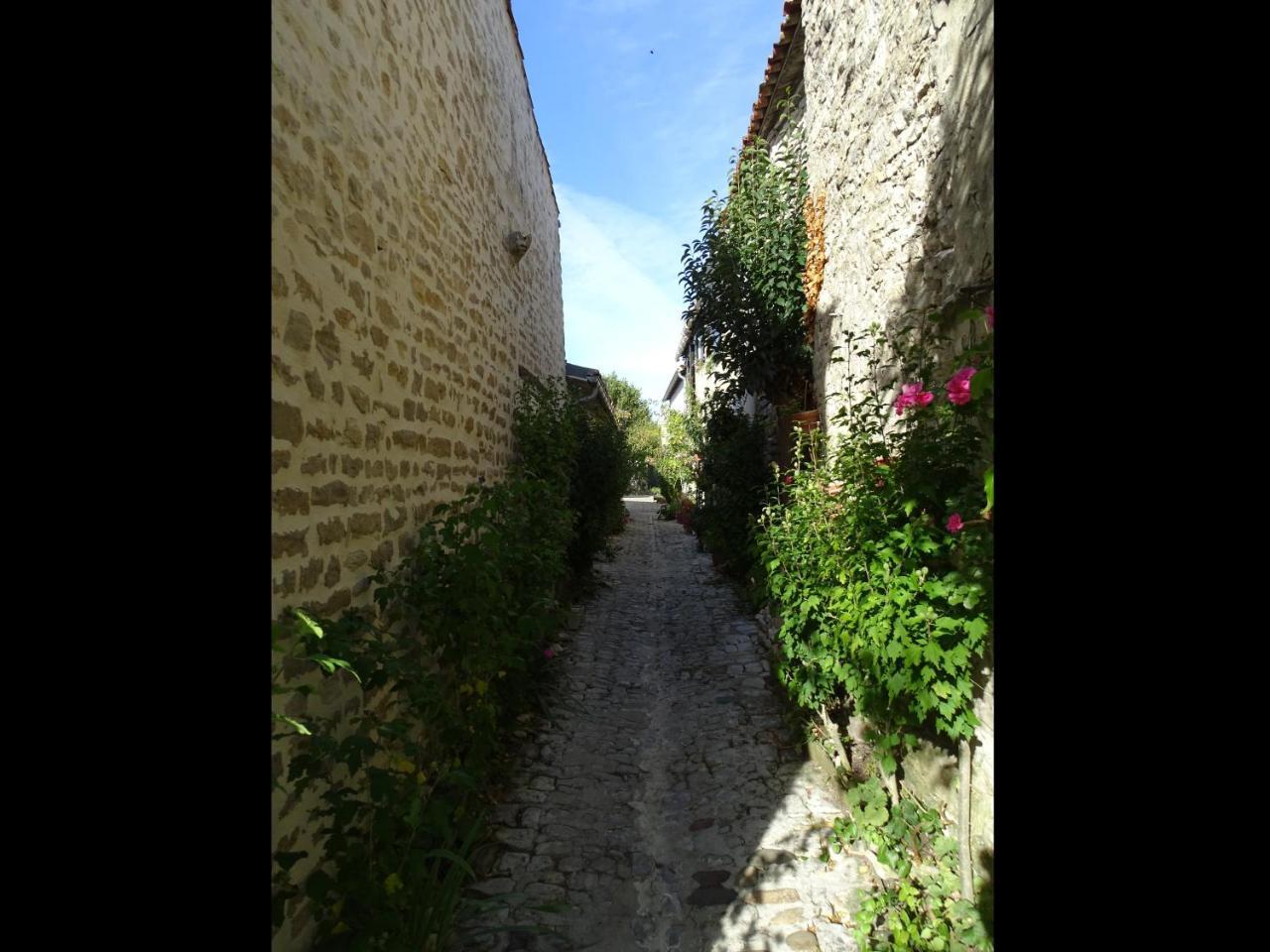 Maison Salicorne La Flotte Exterior foto